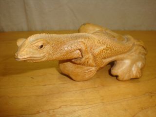Hand Carved Wood Lizard On Mushroom Wood