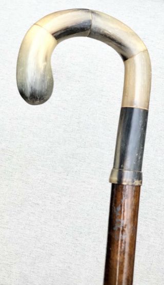 Vintage Antique Gadget Parasol Umbrella Horn Handle Walking Stick Cane Old 3