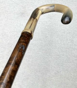 Vintage Antique Gadget Parasol Umbrella Horn Handle Walking Stick Cane Old 4