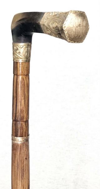 Vintage Antique Engraved Gold Filled Horn Handle Horn Tip Walking Stick Cane Old 2