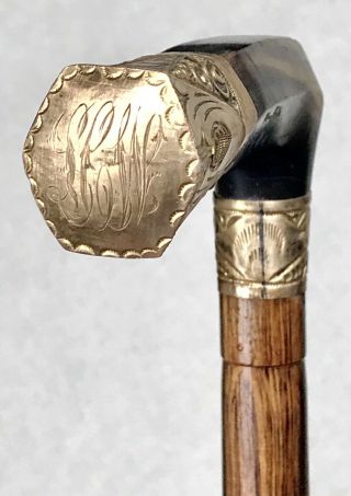 Vintage Antique Engraved Gold Filled Horn Handle Horn Tip Walking Stick Cane Old 3