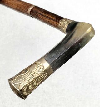 Vintage Antique Engraved Gold Filled Horn Handle Horn Tip Walking Stick Cane Old 4