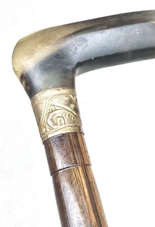 Vintage Antique Engraved Gold Filled Horn Handle Horn Tip Walking Stick Cane Old 7