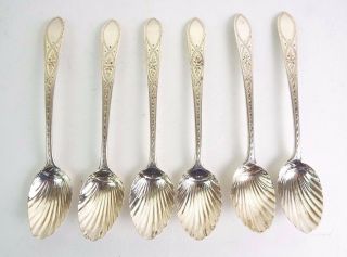 Six Spoons Scottish Solid Silver Shell Bowl Celtic Point Spence Edinburgh C1809