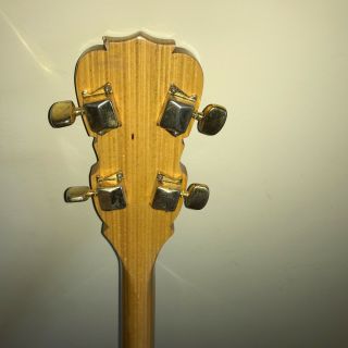Vintage Orpheum 5 - String Banjo 11