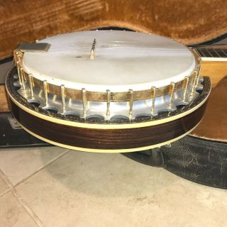 Vintage Orpheum 5 - String Banjo 6