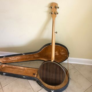 Vintage Orpheum 5 - String Banjo 8
