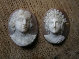 Unusual Antique Grand Tour? Sea Shell Cameo Plaque Pair Deep Carved Full Face
