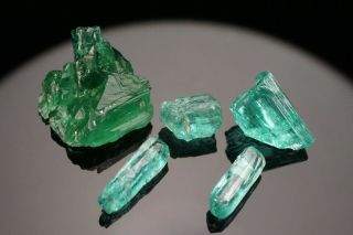 RARE GEM Cuprian Elbaite Tourmaline Crystal Group PARAIBA,  BRAZIL 3