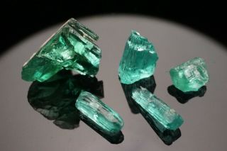 RARE GEM Cuprian Elbaite Tourmaline Crystal Group PARAIBA,  BRAZIL 6