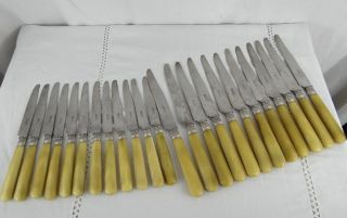 Set 24 Vintage French Knives Silver Collars Horn Handle Stamped " Bp Paris "