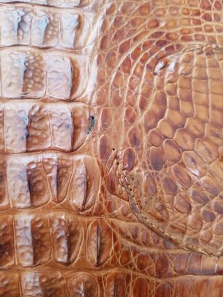 Authentic Hornback Crocodile Leather Portfolio Business Folder True Vintage 10