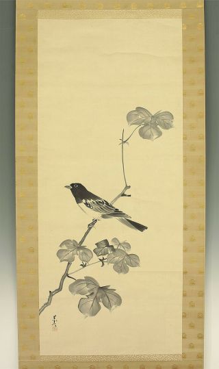 掛軸1967 Japanese Hanging Scroll : Goshun / Matsumura Gekkei " Magpie " @b870