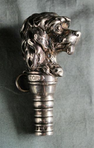 English Sterling Figural Spaniel Head Cane/umbrella Handle (lon.  1888,  Chas.  Boyton)