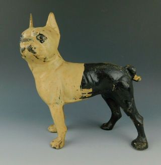 Antique Hubley Cast Iron Boston Terrier Tan & Black Painted Statue Doorstop
