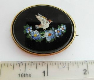 Rare Victorian Antique Micro Mosaic Bird & Floral Brooch Pin