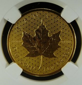 Rare 2017 Canada Gold $200 Iconic Maple Leaf Reverse Proof Ngc Pf 70 500 Mintage