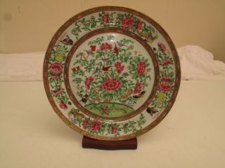 Antique Chinese Famille Rose Plate 19th C Floral Peonies 9.  5 " Minty Old