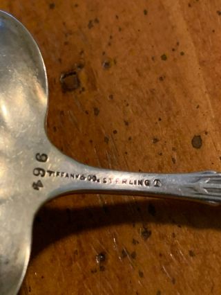 TIFFANY & CO.  HOLLY PATTERN NUT SCOOP FLORAL VINE STERLING SILVER GILT 4