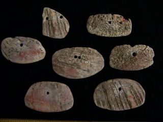 Seven Authentic Shell Ornaments From Sonoma County,  California