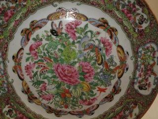 Antique Chinese Famille Rose Plate 19th C Floral Butterflies Unusual