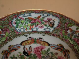 ANTIQUE CHINESE FAMILLE ROSE PLATE 19TH C FLORAL BUTTERFLIES UNUSUAL 3