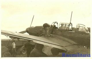 Best Luftwaffe Ju - 87 Stuka Dive Bomber W/ Staffel Emblem Being Refueled