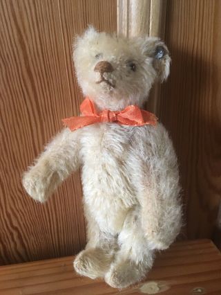 Very Rare Steiff Pre - War Teddy Bear.  Only 1915 - 20.  Bear Nr.  1.