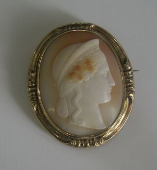 Dramatic Cameo With 14kt Brooch / Pendant And Carving