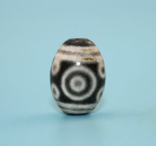 21 15 Mm Antique Dzi Agate Old 11 Eyes Bead From Tibet