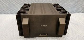 Rare Plinius SA - 250 Classs A power Amplification 230V Plinius SA 250 Make Offer 2