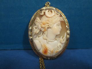 Carved Shell Cameo - Necklace Or Brooch - Oval - 10k - Gorgeous