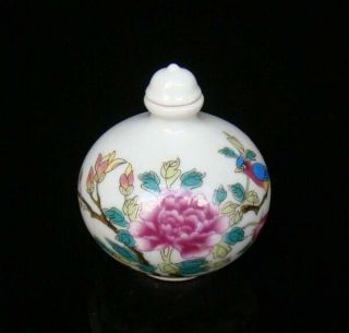 Collectible 100 Handmade Painting Porcelain Snuff Bottles Flower Bird 12