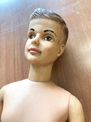 Vintage 1965 Ideal Toy Corp Tammy ' s Brother TED 12.  5” Doll,  Handsome,  Brown Eyes 6