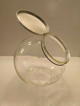 Antique SUNSHINE BISCUIT Glass Round Counter Display Jar Loose - Wiles Lid Vintage 2