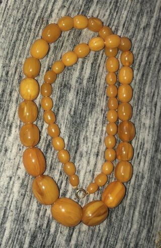 Vintage Baltic Amber Butterscotch Egg Yolk Beads Necklace 26” 100 Grms 2