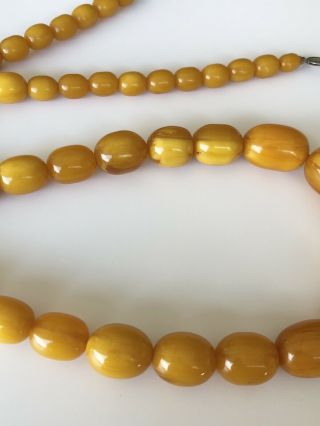 Vintage Baltic Amber Butterscotch Egg Yolk Beads Necklace 26” 100 Grms 3