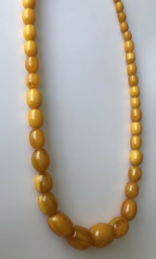 Vintage Baltic Amber Butterscotch Egg Yolk Beads Necklace 26” 100 Grms 4