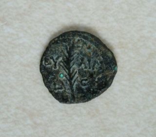Valerius Gratus Ae Prutah - Jerusalem 1.  48g " Tib Kai Cap " (tiberius Caesar)