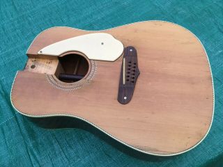 Fender Shenandoah Vintage 1965 - 66 12 String Acoustic Guitar Body Only Project