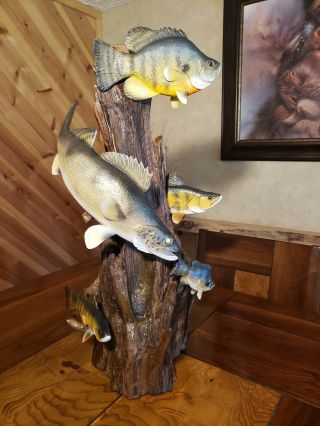 Walleye,  perch,  bluegill wood carving fish taxidermy cabin decor Casey Edwards 10