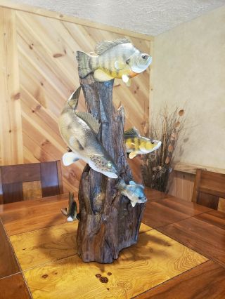 Walleye,  Perch,  Bluegill Wood Carving Fish Taxidermy Cabin Decor Casey Edwards