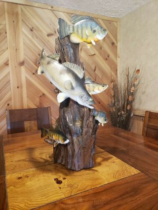 Walleye,  perch,  bluegill wood carving fish taxidermy cabin decor Casey Edwards 2