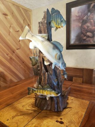 Walleye,  perch,  bluegill wood carving fish taxidermy cabin decor Casey Edwards 3