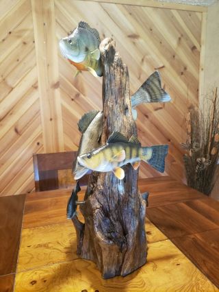 Walleye,  perch,  bluegill wood carving fish taxidermy cabin decor Casey Edwards 5
