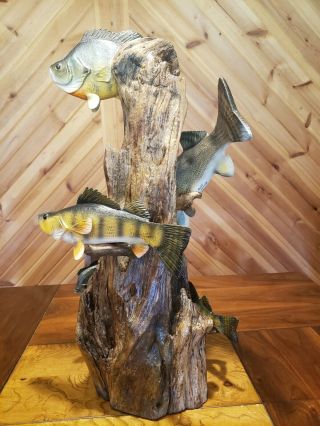 Walleye,  perch,  bluegill wood carving fish taxidermy cabin decor Casey Edwards 6