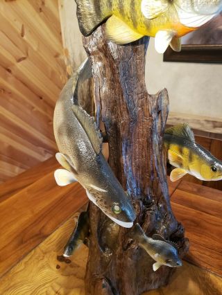 Walleye,  perch,  bluegill wood carving fish taxidermy cabin decor Casey Edwards 8