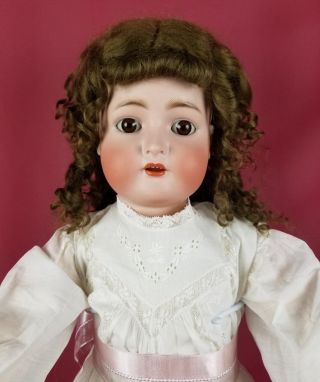 Antique German Large Doll Kammer Reinhardt 76 Bisque Head 29 " Gorgeous Brow Eyes