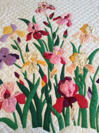 Vintage Progress Appliqué Quilt Made From A Kit: The Iris 10