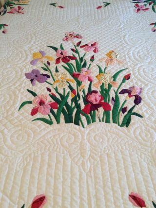 Vintage Progress Appliqué Quilt Made From A Kit: The Iris 11